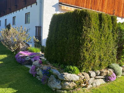 Bild 70 aus  Schlickenhof