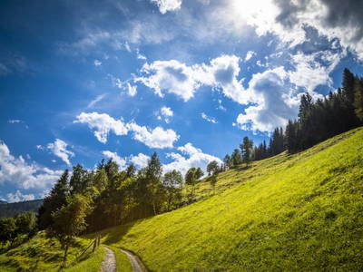 Bild 74 aus  Neuhaus