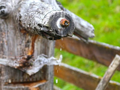 Bild 78 aus  Badlechnerhof