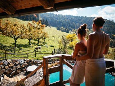 Bild 25 aus Wohlfühloase Koglerhof