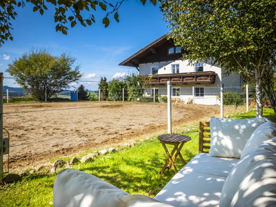 Bild 2 aus  Pferdehof Thomayer