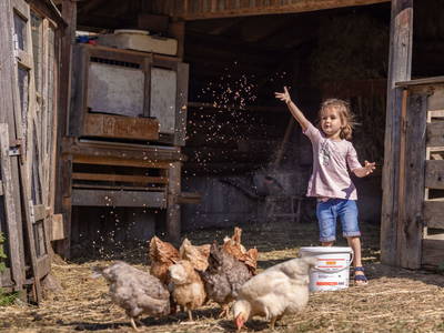Bild 2 aus  Bauernhof Gruber - Bauernhaus