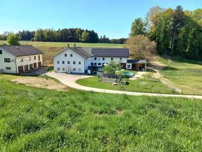 Bild 11 aus  Sweet Home Alpacas