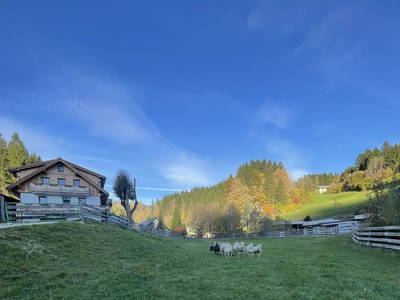 Bild 36 aus  Bio-Bauernhof Poldlbauer