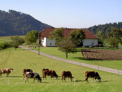 Bild 2 aus  Wenigeder - Familie Klopf