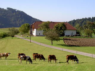 Wenigeder - Familie Klopf aus Gutau