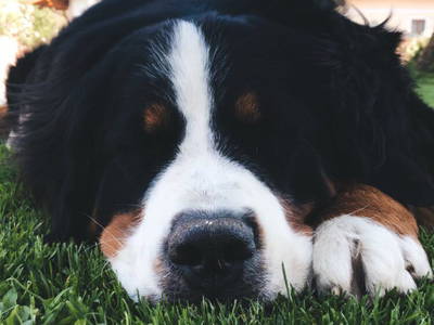 Bild 26 aus  Ferienwohnungen Ranstl