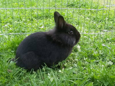 Bild 93 aus  Obersinnlehenhof