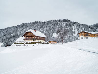 Bild 19 aus  Bio Bauernhof Oberhinterberg