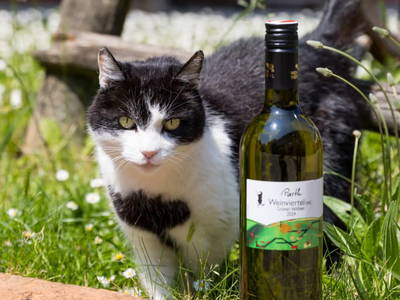 Bild 13 aus  Weingut Parth - Gästezimmer zur Schlafmütze