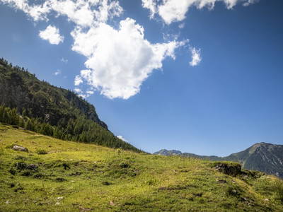 Bild 31 aus  Unterpleißlinghütte