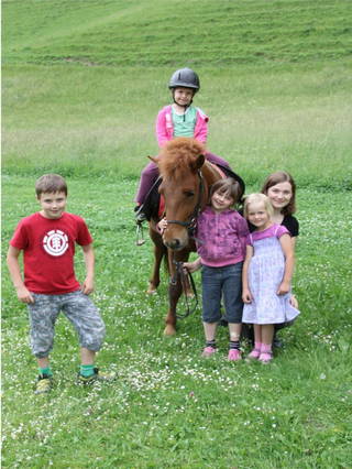 Weitgasserhof aus Pichl-Preunegg