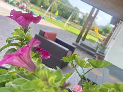 Bild 14 aus  Heisshof 