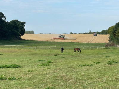 Bild 12 aus  Sprengerhof