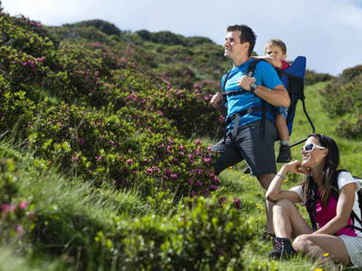 Bild 3 aus  Gfinkerhof