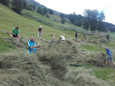 Bild 85 aus  Weifer Biobauernhof