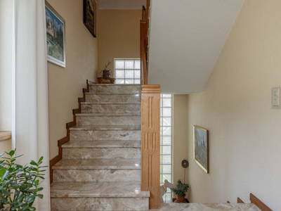 Bild 126 aus  Pleschinhof