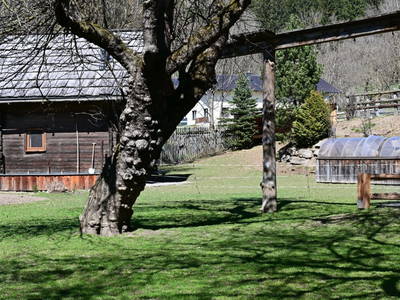 Bild 8 aus  Ferienwohnung Feistritzer Holdernig