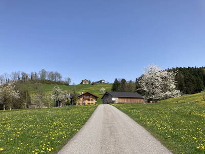 Bild 84 aus Familie Nußbaumer