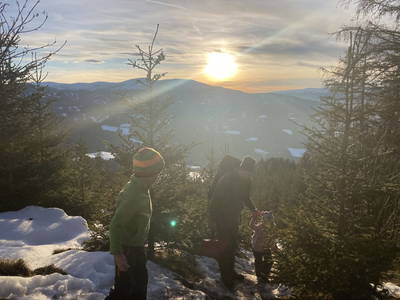 Bild 54 aus Spitalalm