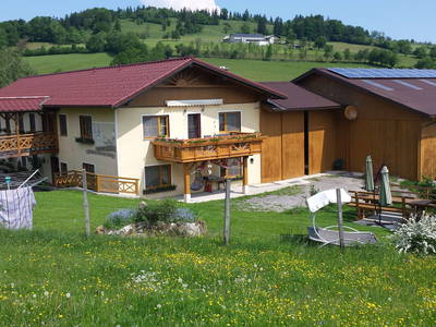 Bild 2 aus  Steinbauer