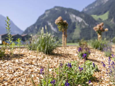 Bild 98 aus  Larchergut