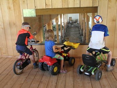 Bild 36 aus  Pieber-Staberhof