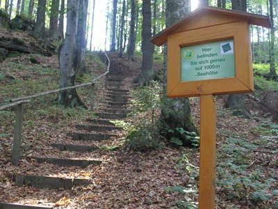 Bild 72 aus  Haus Linda