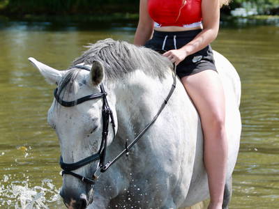 Bild 19 aus  Gut Sommereichen