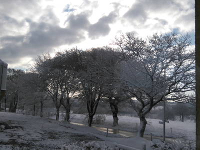 Bild 28 aus  Ferienhof Jansen