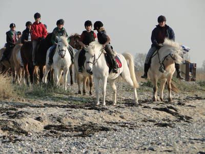 Strandausritte im Bauernhofurlaub auf Fehmarn