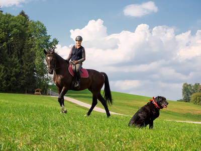 Ausritt rund um Gut Feuerschwendt