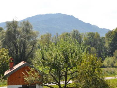 Bild 24 aus  Donauerhof