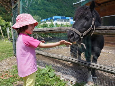 Bild 12 aus  Heideggerhof