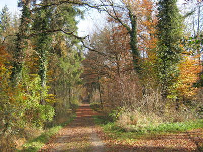 Bild 18 aus  Ferienhof Amann