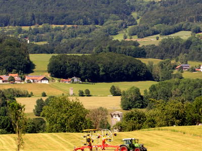 Bild 23 aus  Ederhof