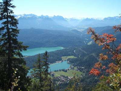 Bild 11 aus  Cölestinhof