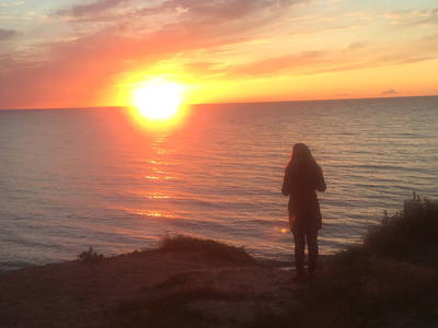 Bild 35 aus  Dreiseithof Schmadebeck