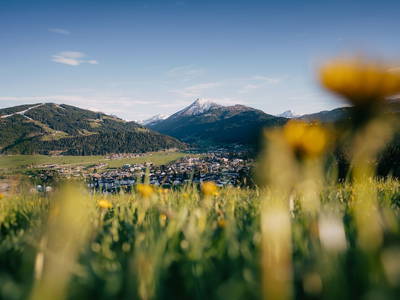 Bild 24 aus  Hornergut