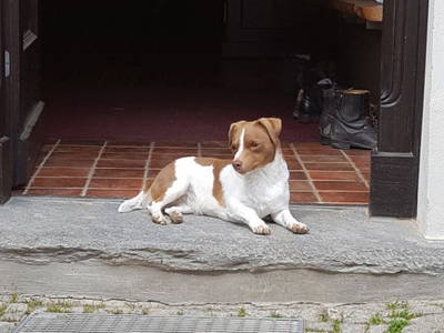 Bild 21 aus  Steinermühle