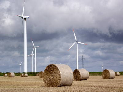 Bild 12 aus  Bioland - Bauernhof Andreßen