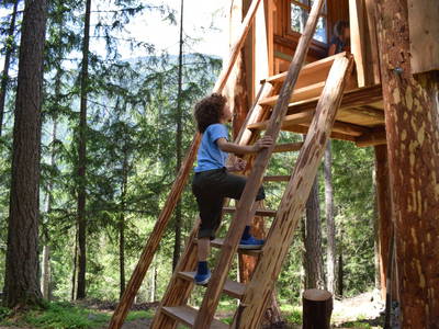 Bild 6 aus  Rieplechnhof