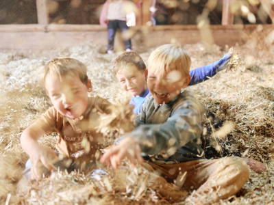 Bild 10 aus  Ferienhof Larrieder Mühle