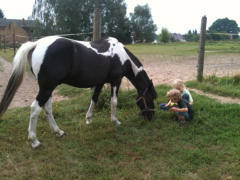 Bild 3 aus  Reiterhof "Zum Rappen"