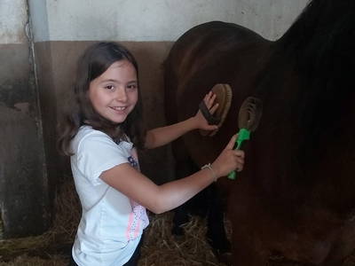 Bild 16 aus  Pension-Landhaus "Zum Ross"