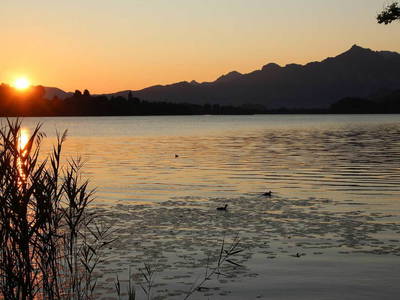 Bild 8 aus  Allgäu Moni