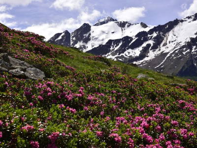 Bild 13 aus  Natürliches Ferienwohnen