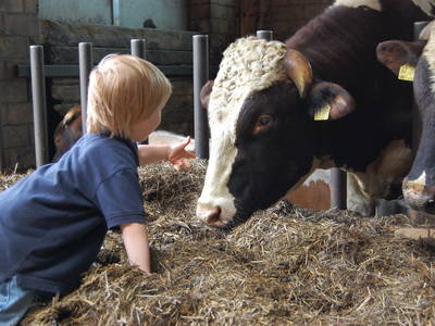 Bild 4 aus  Landgasthaus Hoffmann