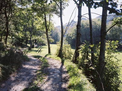 Bild 13 aus  Penzl 9