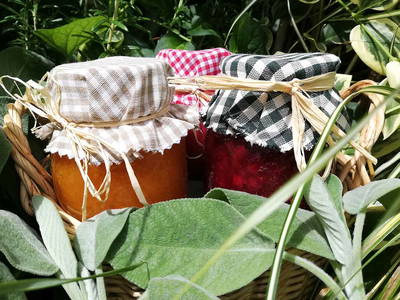 Bild 12 aus  Ansitz Grustdorf